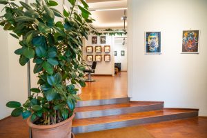 Eingangsbereich mit Pflanze